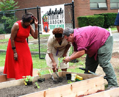 Mt Vernon Community Garden