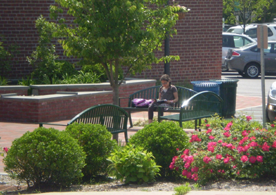 New Castle Pocket Park